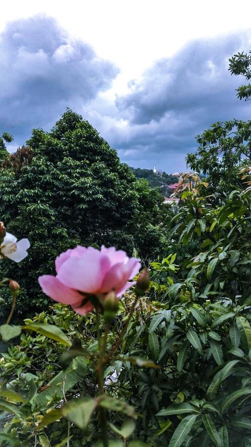 J Hostel Kandy Buitenkant foto